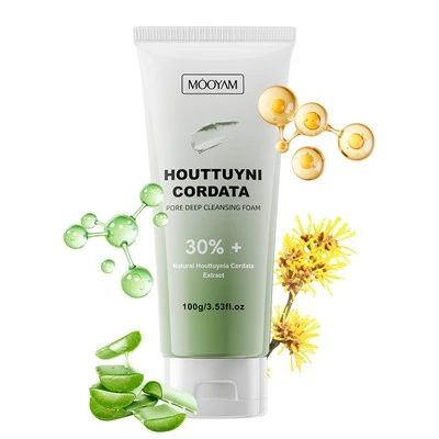 Houttuyni Cordata Ewyn Glanhau Dwfn mandwll